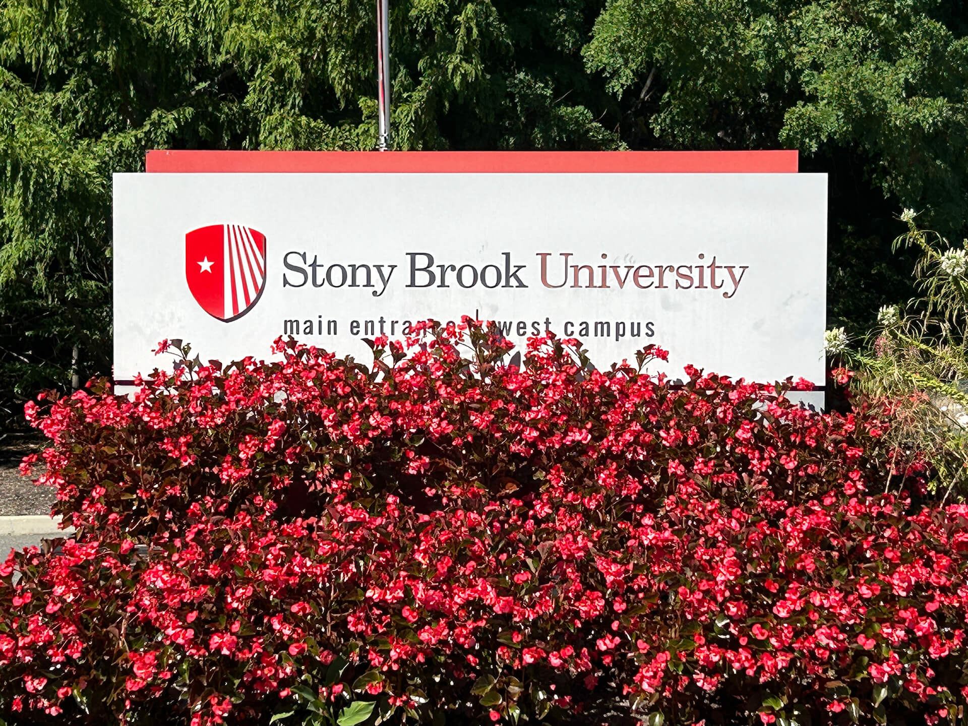 뉴욕주립대학교-스토니브룩