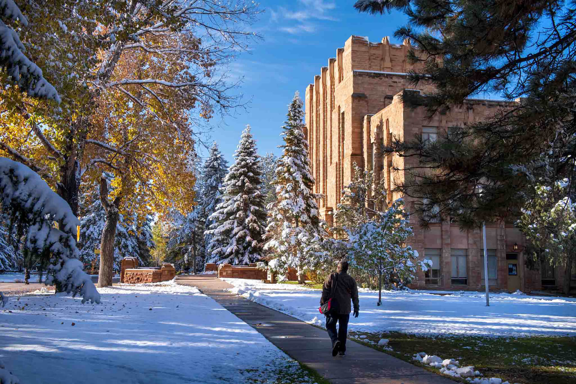 와이오밍대학교