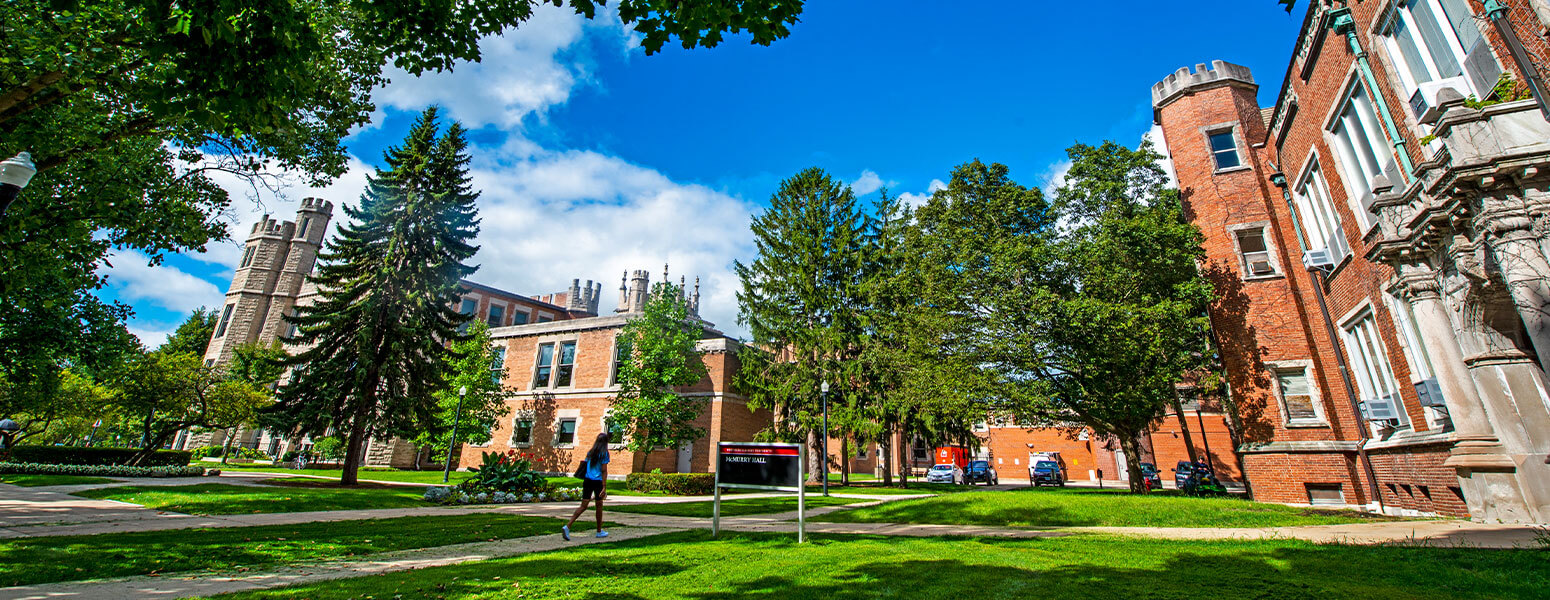 노던일리노이대학교